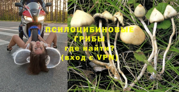гашик Великий Новгород