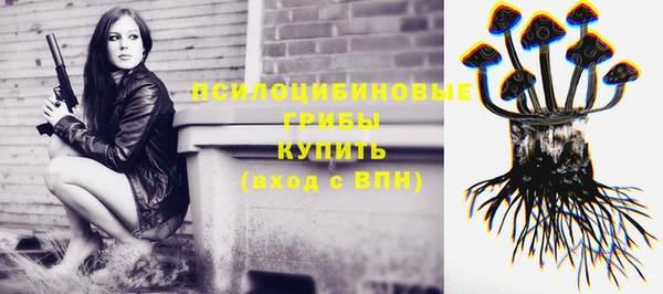прущий лед Абаза